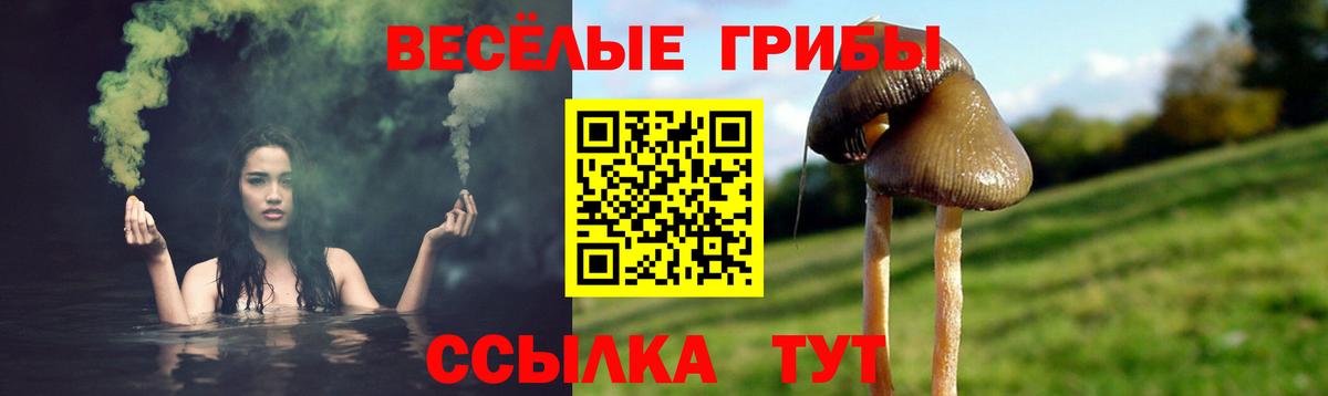 Галлюциногенные грибы Psilocybine cubensis  Вход с VPN  Соликамск 
